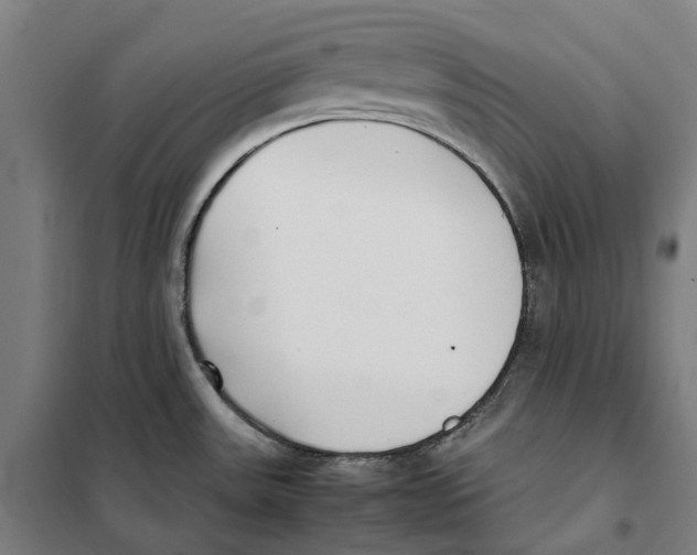 X0000101221531200807251100