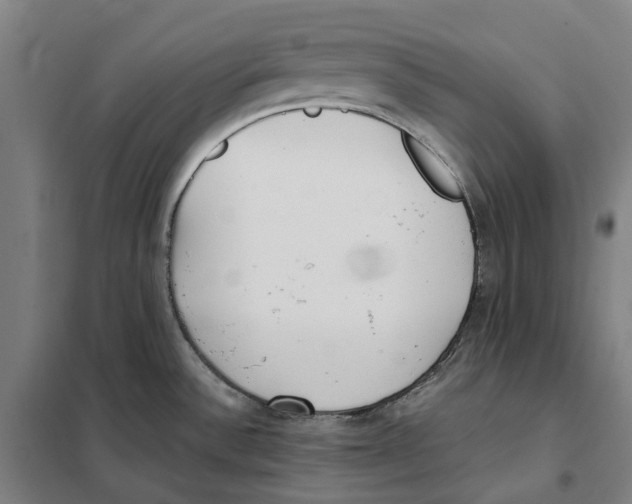 X0000101221532200807251100
