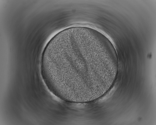 X0000101221533200807251100