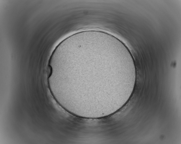 X0000101221534200807251100