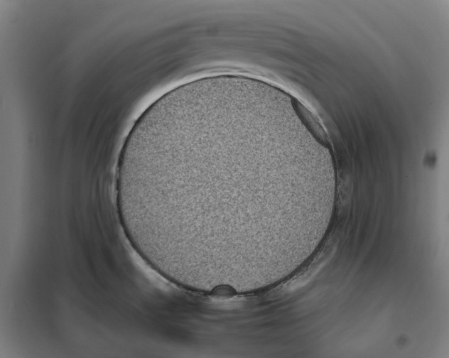 X0000101221535200807251100