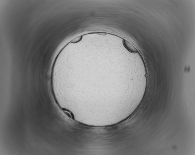 X0000101221536200807251100