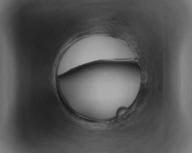 X0000101230004200806270955
