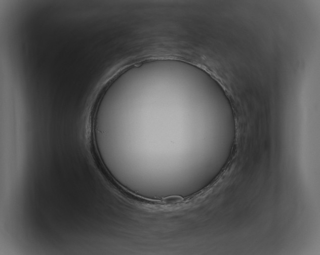 X0000101230005200806270955