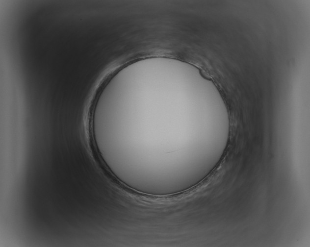 X0000101230006200806270955