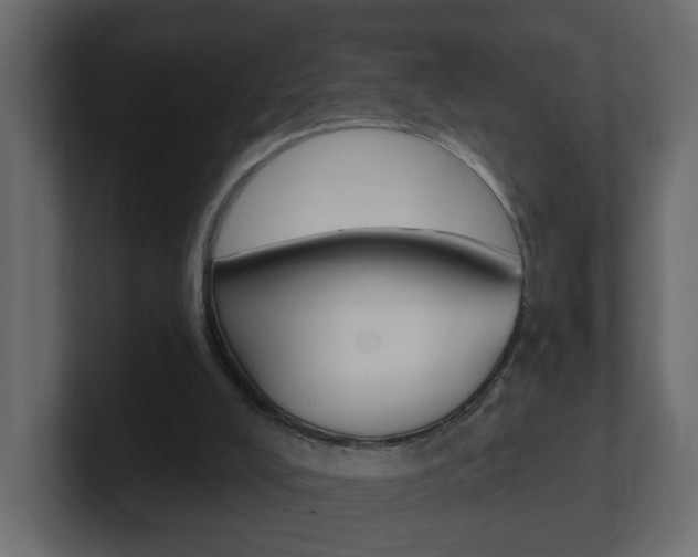 X0000101230008200806270955