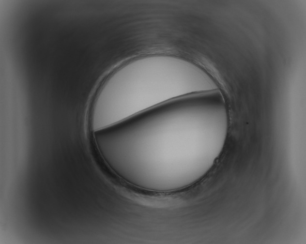 X0000101230012200806270955