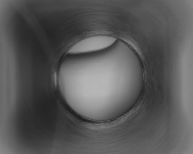 X0000101230013200806270955