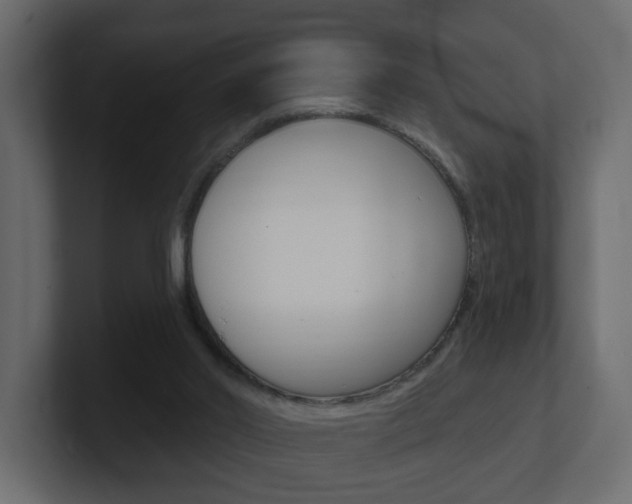 X0000101230014200806270955