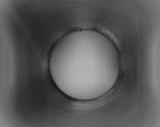 X0000101230017200806270955