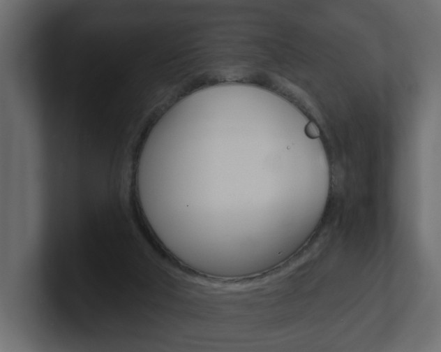 X0000101230018200806270955
