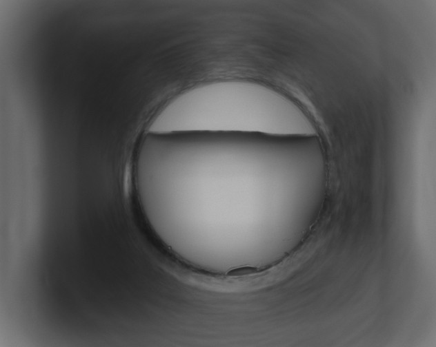 X0000101230019200806270955