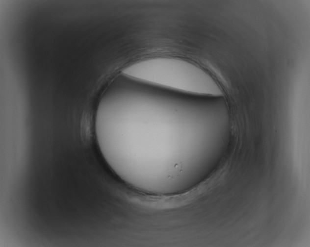 X0000101230023200806270955