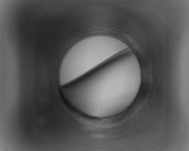 X0000101230028200806270955