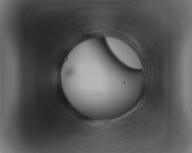 X0000101230029200806270955