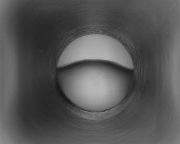X0000101230035200806270954