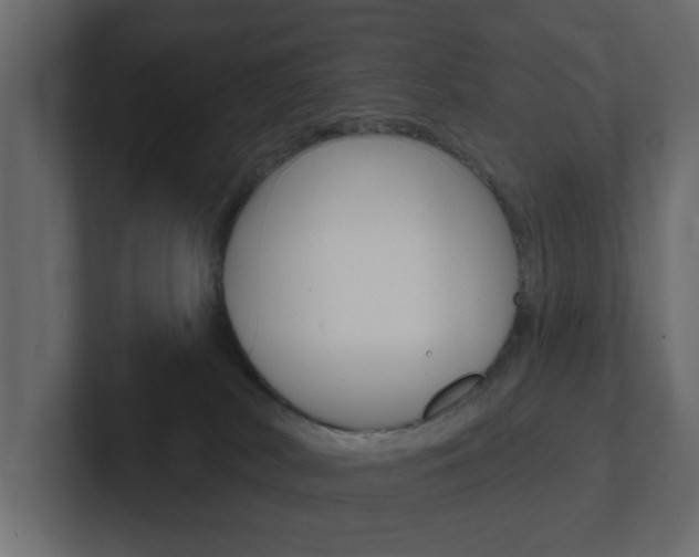 X0000101230038200806270954