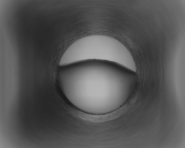 X0000101230039200806270954