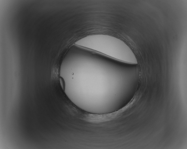 X0000101230045200806270954