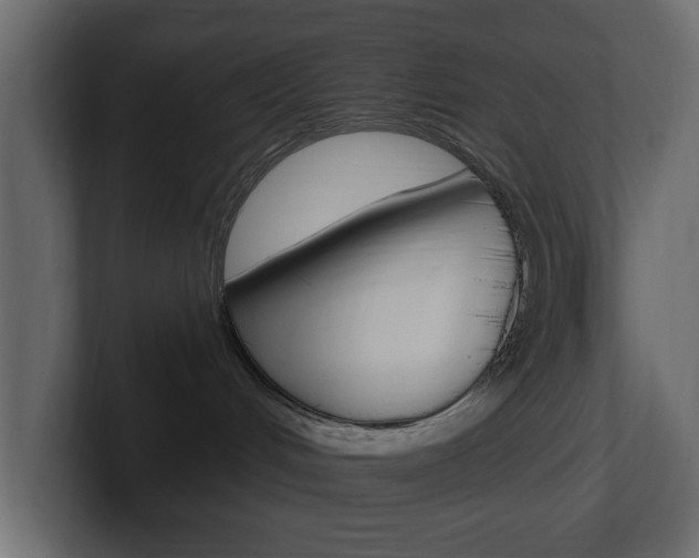 X0000101230048200806270954