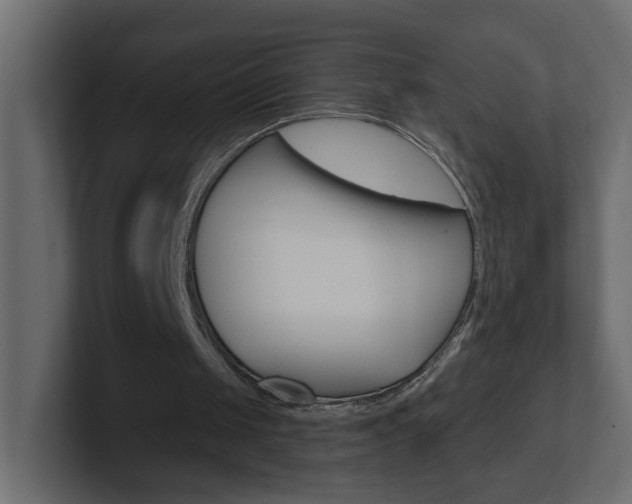 X0000101230049200806270954