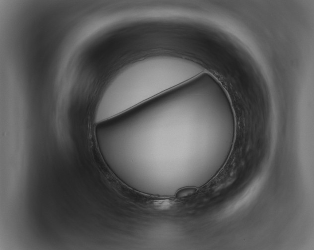 X0000101230050200806270954