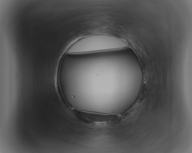 X0000101230052200806270954