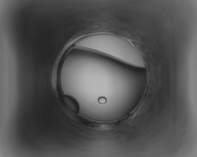 X0000101230056200806270954