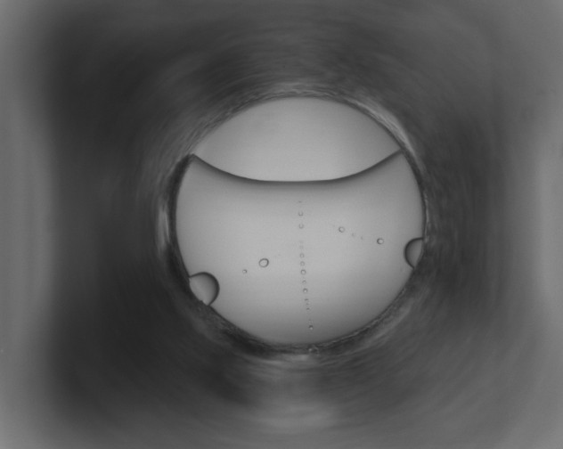 X0000101230061200806270954