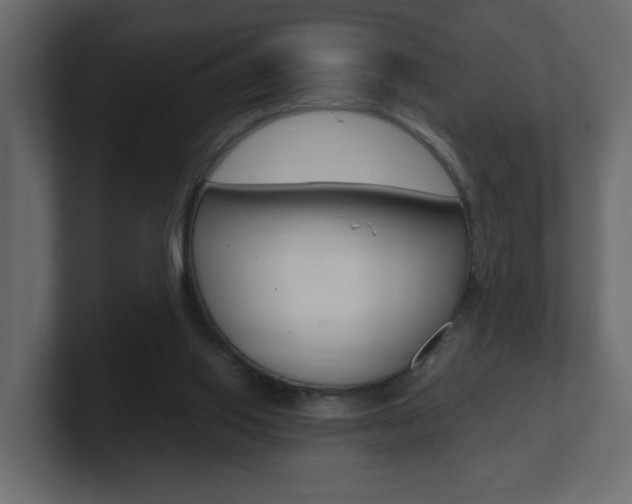 X0000101230062200806270954