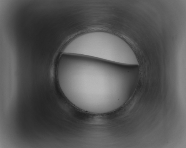 X0000101230064200806270954