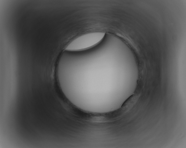 X0000101230066200806270954