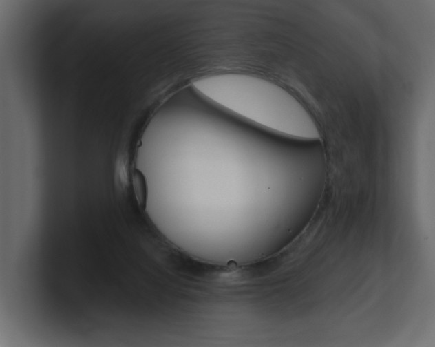 X0000101230068200806270954