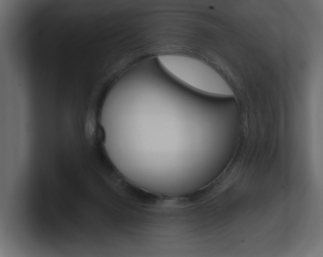 X0000101230072200806270954
