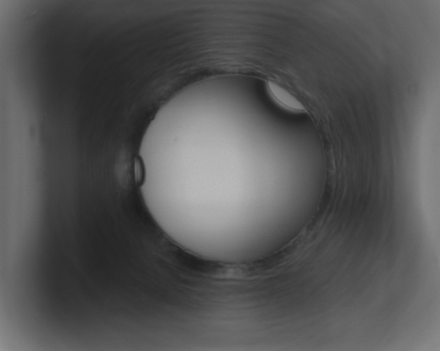X0000101230080200806270954