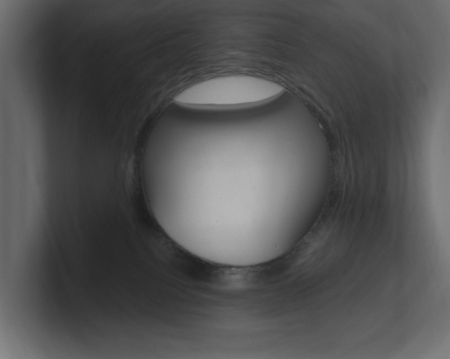 X0000101230088200806270954