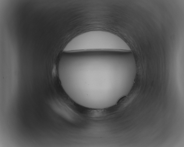 X0000101230089200806270954