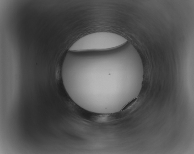 X0000101230090200806270954