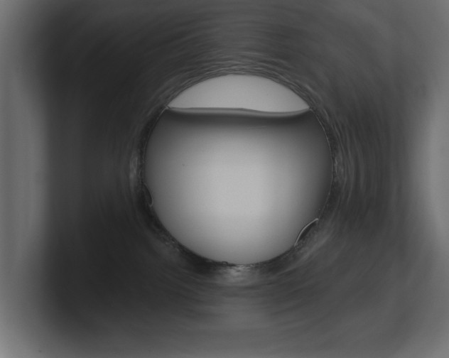 X0000101230092200806270954