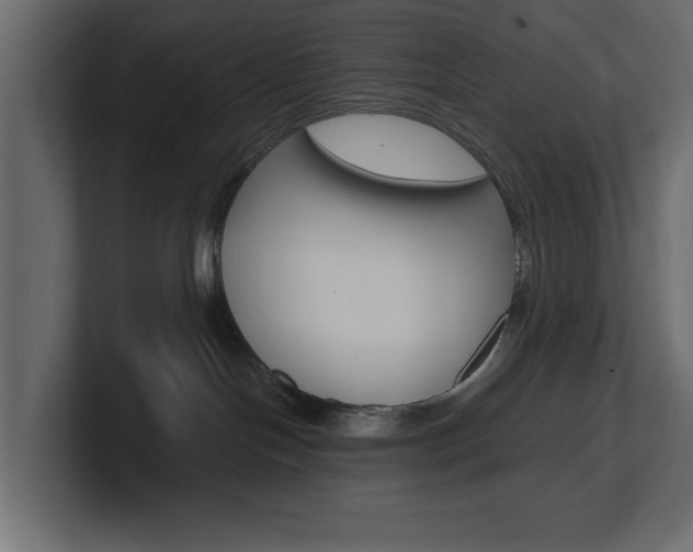X0000101230094200806270954