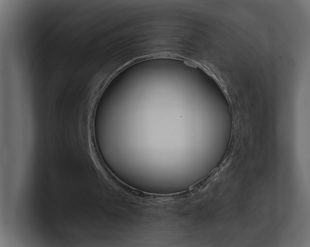 X0000101230097200806270954