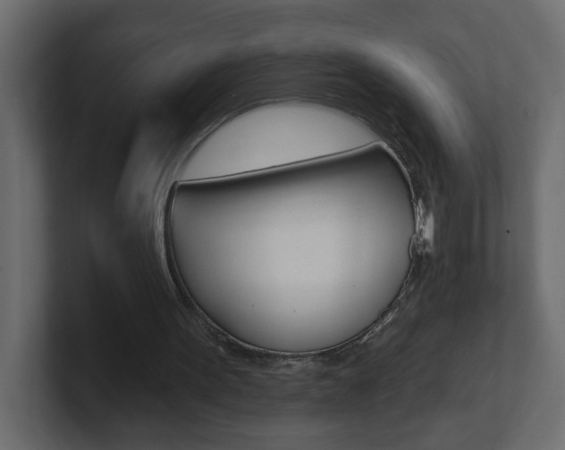X0000101230099200806270954