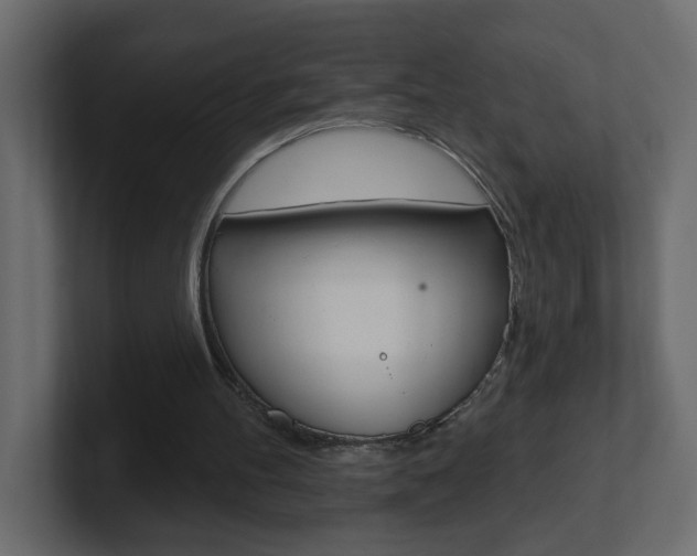 X0000101230100200806270954