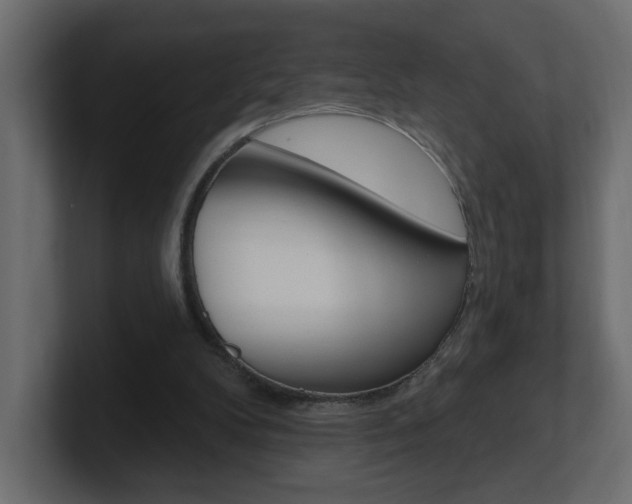 X0000101230104200806270954