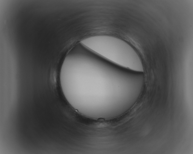 X0000101230115200806270953