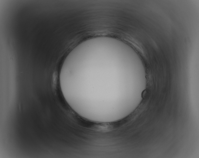 X0000101230118200806270953