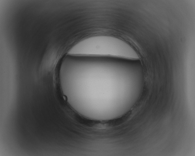 X0000101230119200806270953