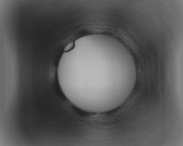 X0000101230125200806270953