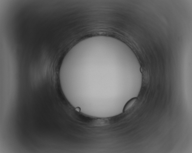 X0000101230126200806270953