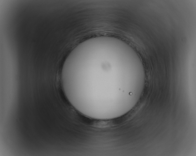 X0000101230129200806270953